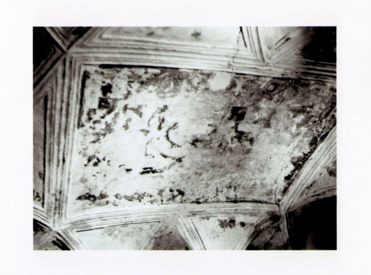 B&B La Rosa D'Oro Genua Exteriör bild